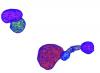 Cell vacuole illustration